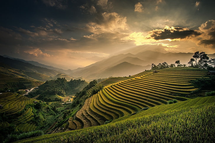 Bali, clouds, field, Indonesia, landscape, mist, mountain, nature, Rice Paddy, sky, sunset, Terraces, Valley, HD wallpaper