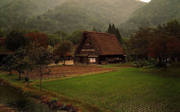 коричневый деревянный дом, природа, домик, трава, лес, япония, HD обои
