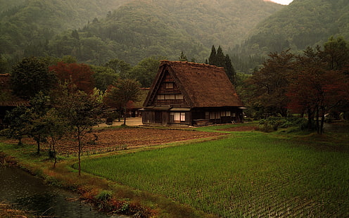 brązowy drewniany dom, przyroda, chata, trawa, las, Japonia, Tapety HD HD wallpaper