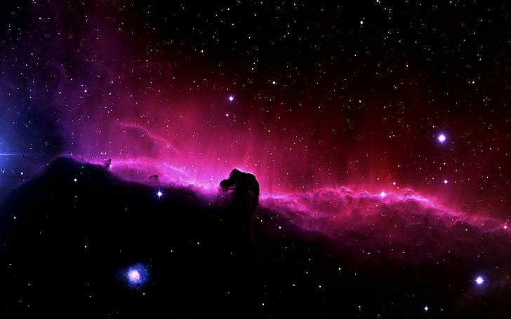 horsehead, nebula, nebulae, outer, space, HD wallpaper