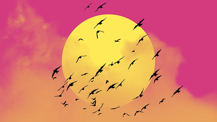 Sun, clouds, pink, birds, sky, summer, Photoshop, digital art, minimalism, HD wallpaper