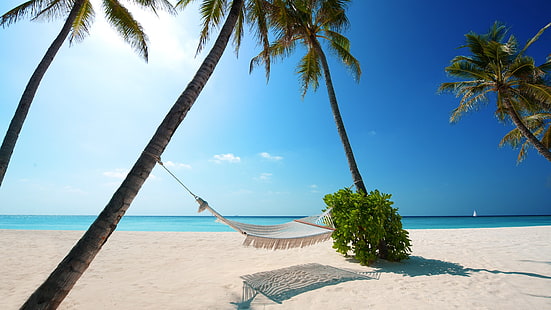 spiaggia, sabbia, palme, paesaggio, amache, mare, cielo, Sfondo HD HD wallpaper