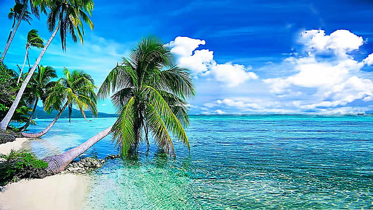 Летний фон, тропический пляж с Palmi.okean с кристально чистой водой и белыми облаками в небе Скачать обои для рабочего стола бесплатно 1920 × 1200, HD обои