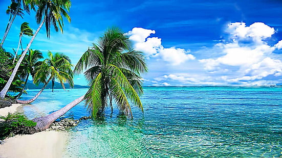 Fond d'été, plage tropicale avec Palmi.okean avec une eau cristalline et des nuages ​​blancs dans le ciel fond d'écran Télécharger 1920 × 1200, Fond d'écran HD HD wallpaper