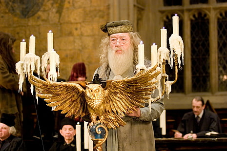 Harry Potter, Harry Potter and the Goblet of Fire, Albus Dumbledore, Michael Gambon, HD wallpaper HD wallpaper