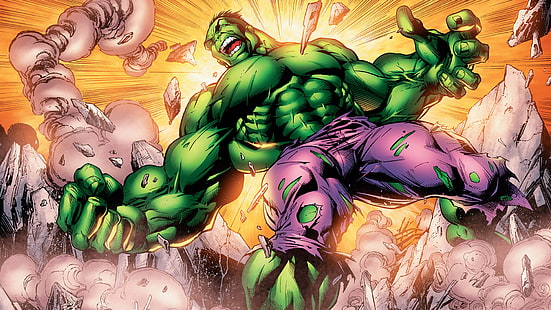 Hulk The Hulk HD, hulk comic book illustration, cartoon/comic, the, hulk, HD wallpaper HD wallpaper