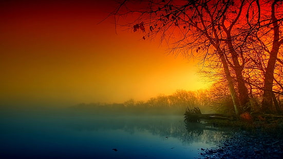 здрач, тъмнина, мъглив, езеро, дърво, пейзаж, пейзаж, невероятно, HD тапет HD wallpaper