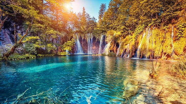 水、自然、プリトヴィチェ湖群国立公園、国立公園、クロアチア、植生、滝、湖、木、 HDデスクトップの壁紙