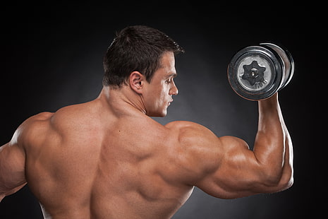 man, back, muscular, shoulders, dumbbells, bodybuilder, HD wallpaper HD wallpaper