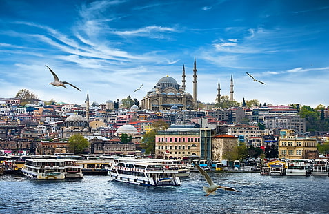 Moscheen, Süleymaniye-Moschee, HD-Hintergrundbild HD wallpaper