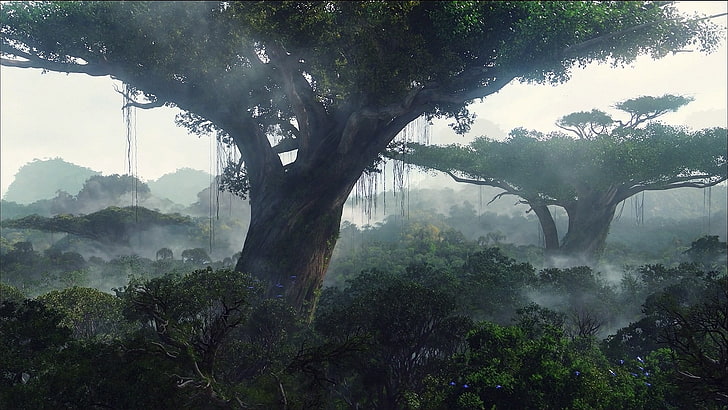 아바타, 자연, 판도라, 나무, HD 배경 화면