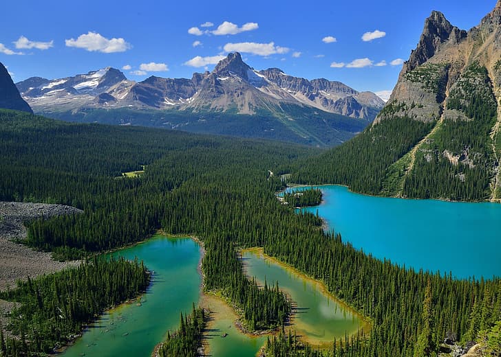 الغابات ، والمناظر الطبيعية ، والجبال ، والبحيرة ، كندا ، حديقة يوهو الوطنية، خلفية HD