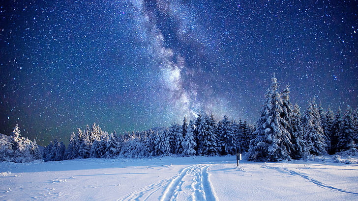 天の川、冬、空、星、緑の松ぼっくりの木、天の川、冬、空、星、 HDデスクトップの壁紙