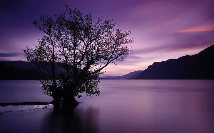 silueta del árbol durante la puesta del sol, naturaleza, paisaje, lago, árboles, cielo, montañas, agua, Fondo de pantalla HD