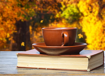 brązowa ceramiczna filiżanka, spodek i książka, jesień, kawa, filiżanka, książka, książki, Tapety HD HD wallpaper