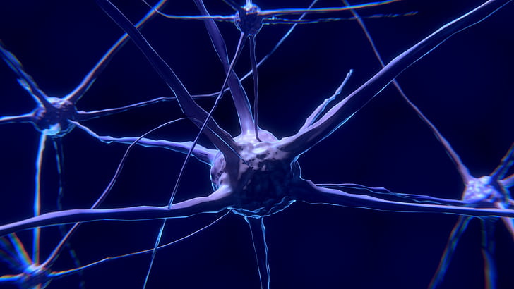 blue, synapse, biology, nerve, neuron, HD wallpaper