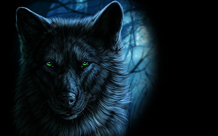 lobo, arte de fantasía, animales, ilustraciones, Fondo de pantalla HD