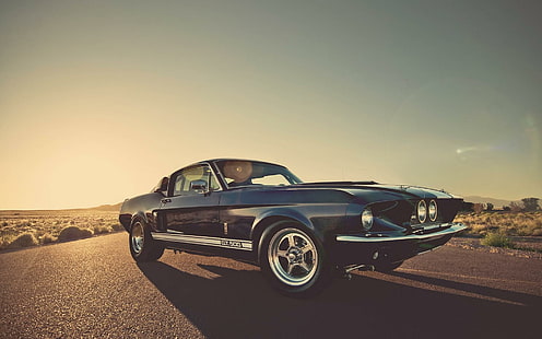 1966 Shelby Mustang GT500, svart Ford Mustang GT, bilar, 1920x1200, Ford, Shelby, Shelby Mustang, HD tapet HD wallpaper