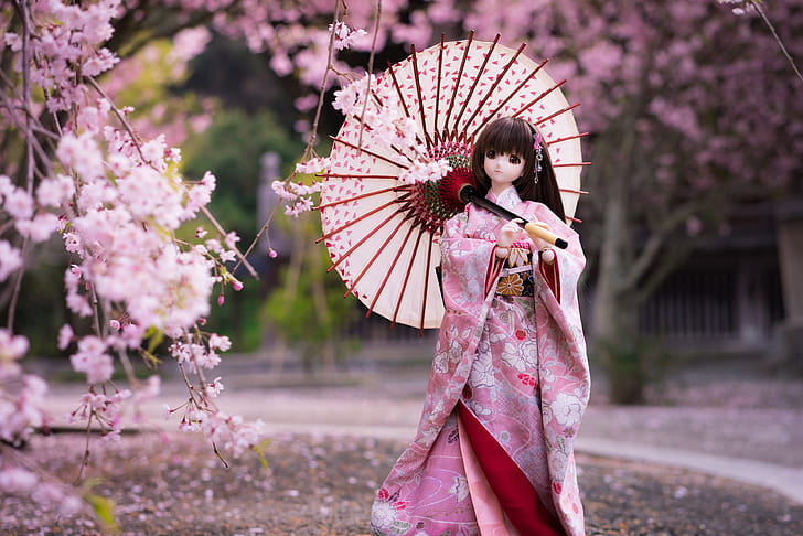 зонт, японка, кукла, сакура, кимоно, HD обои