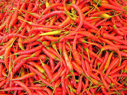 food, chilli peppers, capsicum, HD wallpaper HD wallpaper