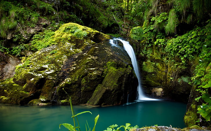 이끼 와이드 스크린 무료 다운로드와 열대 우림 작은 스트림 폭포 푸른 물 큰 바위, HD 배경 화면