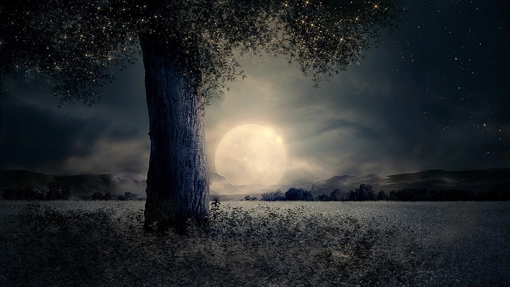 небо, полная луна, природа, темнота, замерзание, дерево, луна, ночь, облако, звездное небо, горизонт, звезды, пейзаж, полночь, HD обои