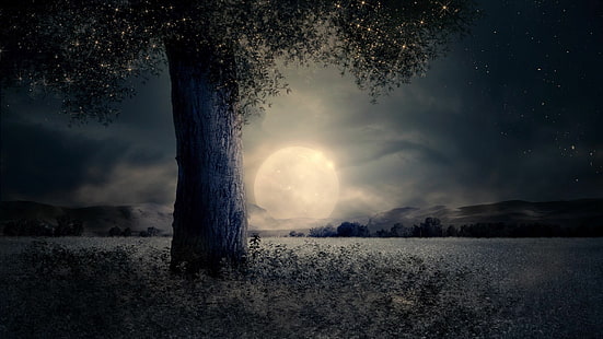 небо, полная луна, природа, темнота, замерзание, дерево, луна, ночь, облако, звездное небо, горизонт, звезды, пейзаж, полночь, HD обои HD wallpaper