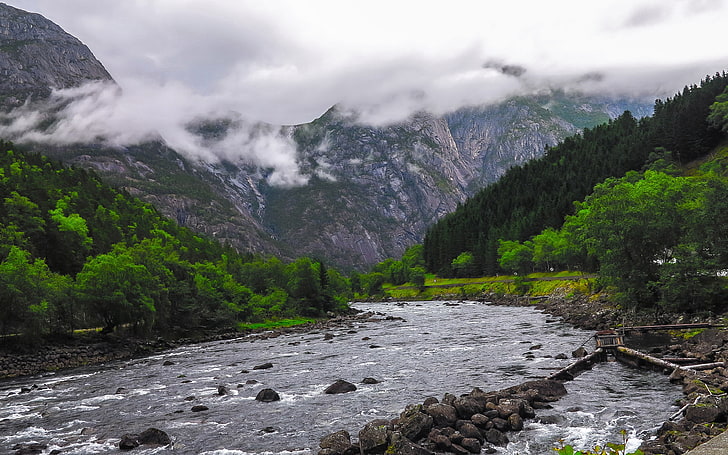 Aliran sungai hutan pegunungan berkabut, Wallpaper HD