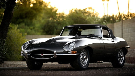 Jaguar grigio E-Type, giaguaro, XK, E-Type, Roadster, auto, grigio, Sfondo HD HD wallpaper