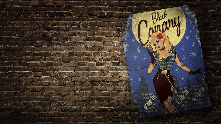 Black Canary, DC Comics, pinup models, HD wallpaper