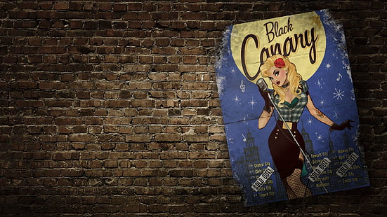 Black Canary, DC Comics, pinup models, HD wallpaper HD wallpaper