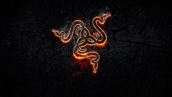 Razer Inc., Razer, логотип, змея, игровая серия, оранжевый, HD обои HD wallpaper