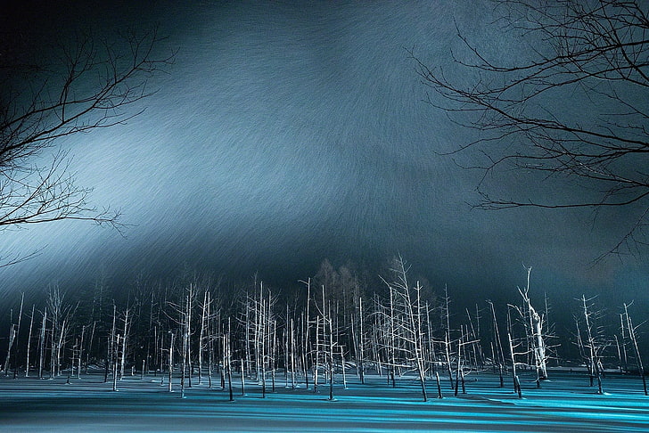 ภูมิทัศน์ธรรมชาติฤดูหนาวบ่อน้ำสีฟ้าหิมะต้นไม้ญี่ปุ่น, วอลล์เปเปอร์ HD