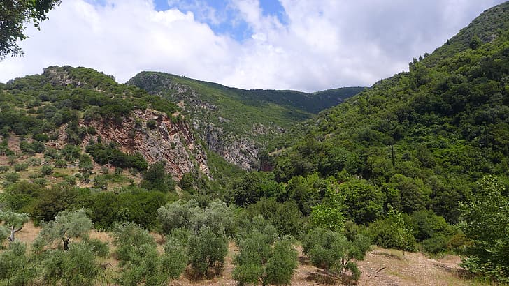 gunung, pohon, Yunani, awan, tumbuhan, minyak zaitun, Wallpaper HD