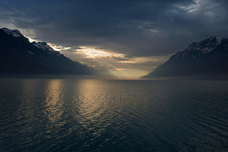 paisaje, naturaleza, lago, montañas, niebla, rayos de sol, invierno, oscuro, nubes, pico nevado, pájaros, luz solar, Suiza, atmósfera, Fondo de pantalla HD