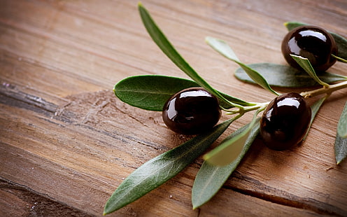 olives noires rondes, olives, branche, table, Fond d'écran HD HD wallpaper