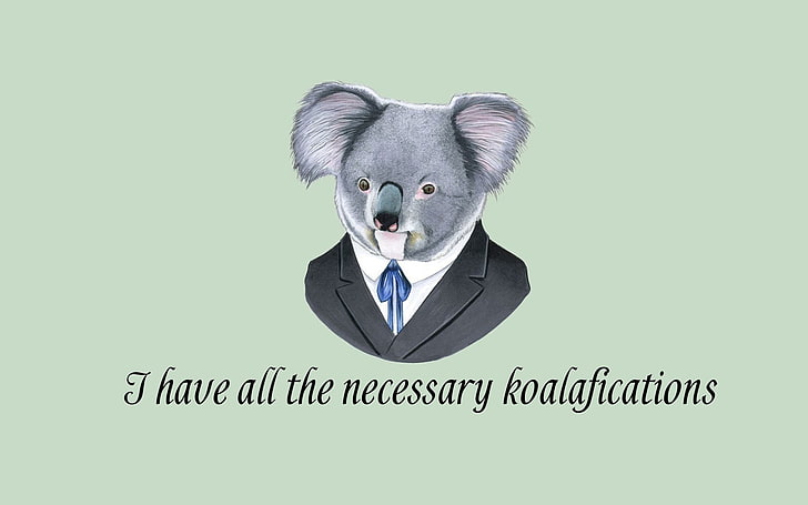 Koalaillustration, Minimalismus, einfacher Hintergrund, digitale Kunst, Koala, Anzüge, Zitat, Spaß, Text, Tiere, HD-Hintergrundbild