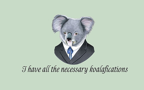 ilustracja koala, minimalizm, proste tło, sztuka cyfrowa, koale, garnitury, cytat, humor, tekst, zwierzęta, Tapety HD HD wallpaper