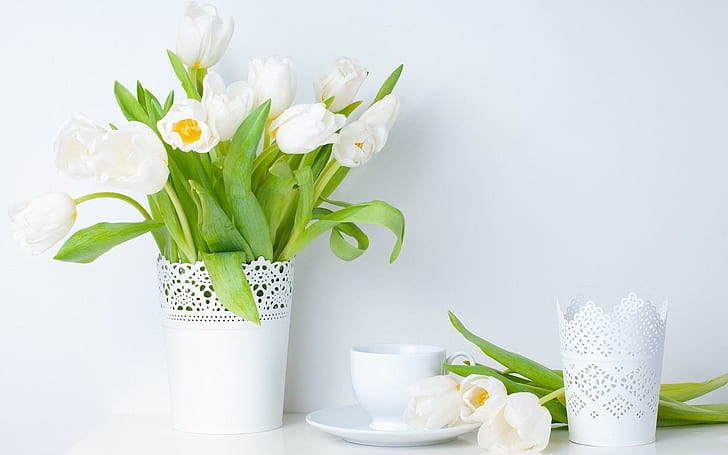 مزهرية زنبق بيضاء ربيعية ، توليب ، بيضاء ، زهور ، مزهرية ، ربيع، خلفية HD
