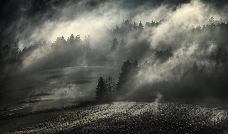 природа, фотография, пейзаж, монохромный, утро, туман, лес, поле, естественный свет, атмосфера, HD обои