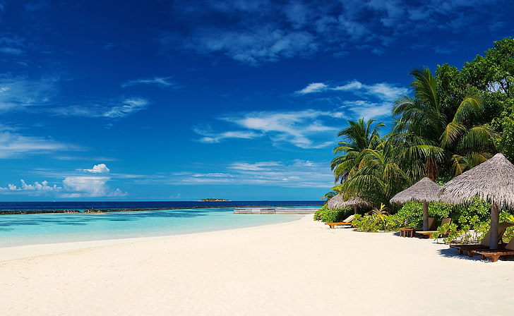 Palmy na wybrzeżu oceanu, trzy szare baldachimy tiki], Natura, Plaża, Tapety HD