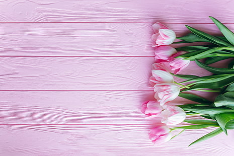 rosa tulpaner, blommor, tulpaner, rosa, träbakgrund, HD tapet HD wallpaper