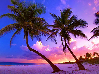 Pantai eksotis dekat Cancun, Meksiko, meksiko, warna-warni, senja, luar biasa, ungu, cancun, pasir, indah, telapak tangan, istirahat, bagus, indah, matahari terbenam, pohon, Wallpaper HD HD wallpaper