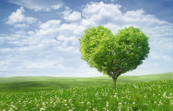 сърце, любовен образ, дърво, 5k, HD тапет