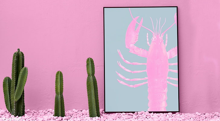 Cactus and Lobster, Cute, lobster, cactus, photography, pop art, pink, minimal, colourful, HD wallpaper