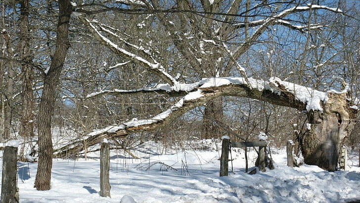 Snowy Lazy River, natürlicher Brunnen, Schnee, Alleghany County, Covington, Fluss, Virginia, Jackson River, 3d und Zusammenfassung, HD-Hintergrundbild