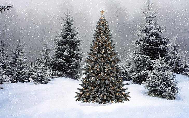 Ёлка, снег, новый год, ель, елка, HD обои