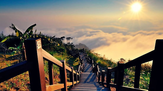слънчева светлина, стълбище, небе, дървен, планина, пейзаж, растение, национален парк юшан, изгрев, разсъмване, природа, национален парк, облак, сутрин, дърво, Тайван, небе, слънце, облаци, стълби, HD тапет HD wallpaper