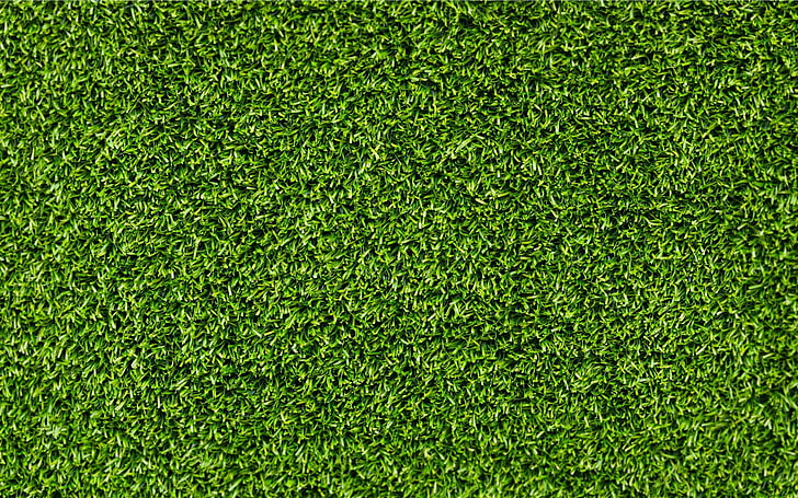 grönt gräs, gräs, konsistens, HD tapet