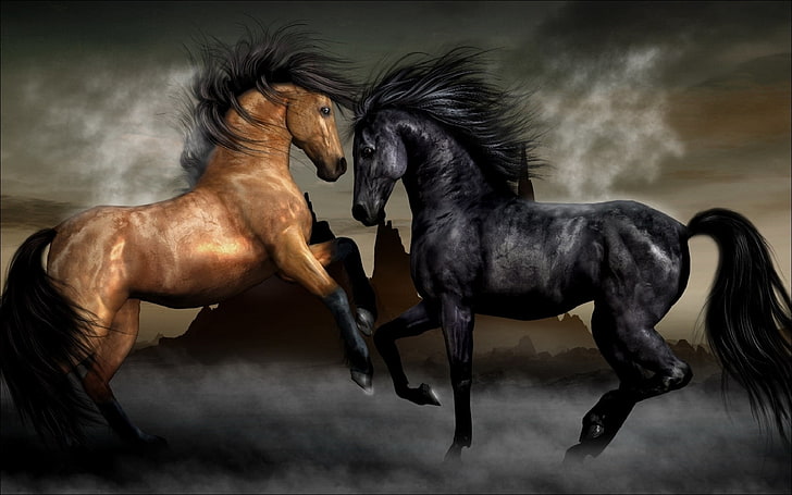 two brow and black horse, fog, horses, horse, pair, HD wallpaper